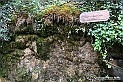 VBS_7784 - Là, dove finisce la strada, comincia un mondo
